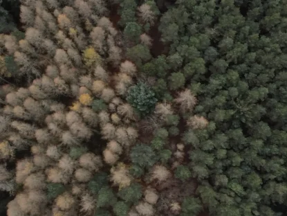 Aerial view of Webmart's Oxygen Farm