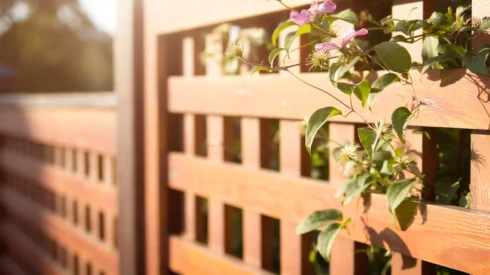Fencing in a sunny garden - image for Webmart's 490% increase in direct mail.