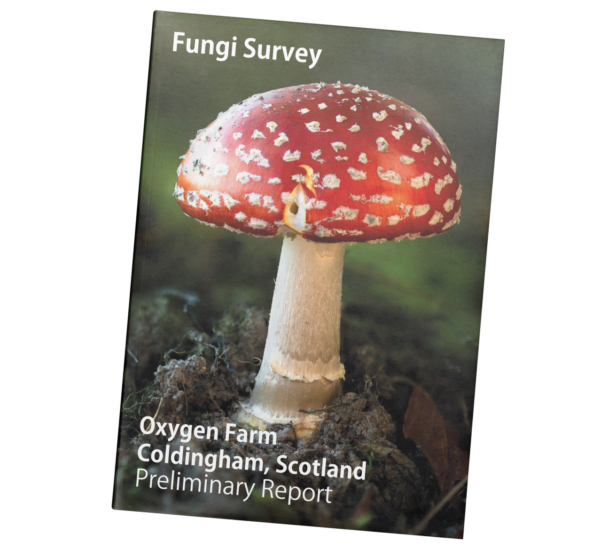Webmart's Oxygen Farm Preliminary Fungi Report