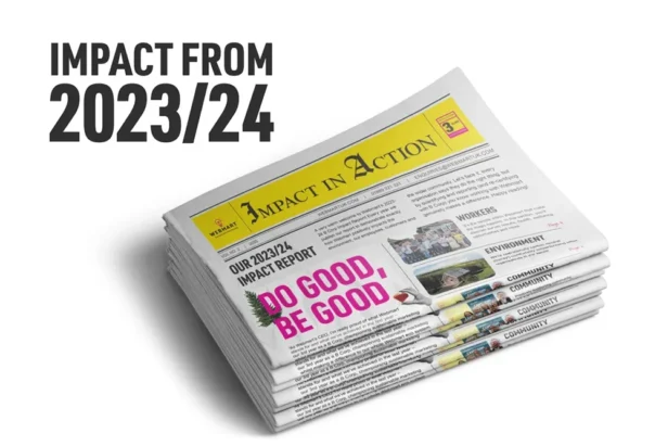 Webmart - the sustainable marketing agency - presents their 2023/24 Impact Report update, in a newspaper format folded and stacked on top of one another.
